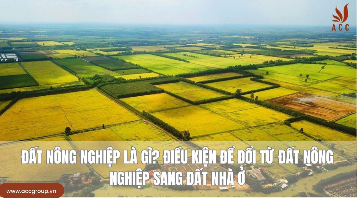 Đất nông nghiệp là gì? Điều kiện để đổi từ đất nông nghiệp sang đất nhà ở