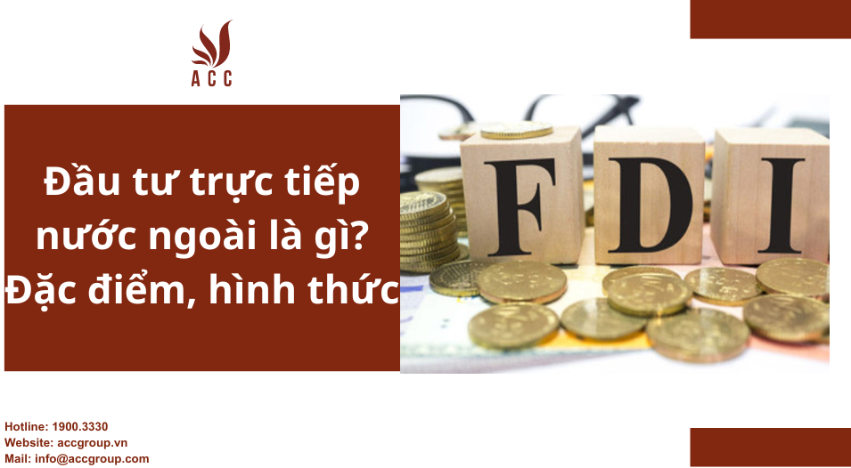 Đầu tư trực tiếp nước ngoài là gì? Đặc điểm, hình thức