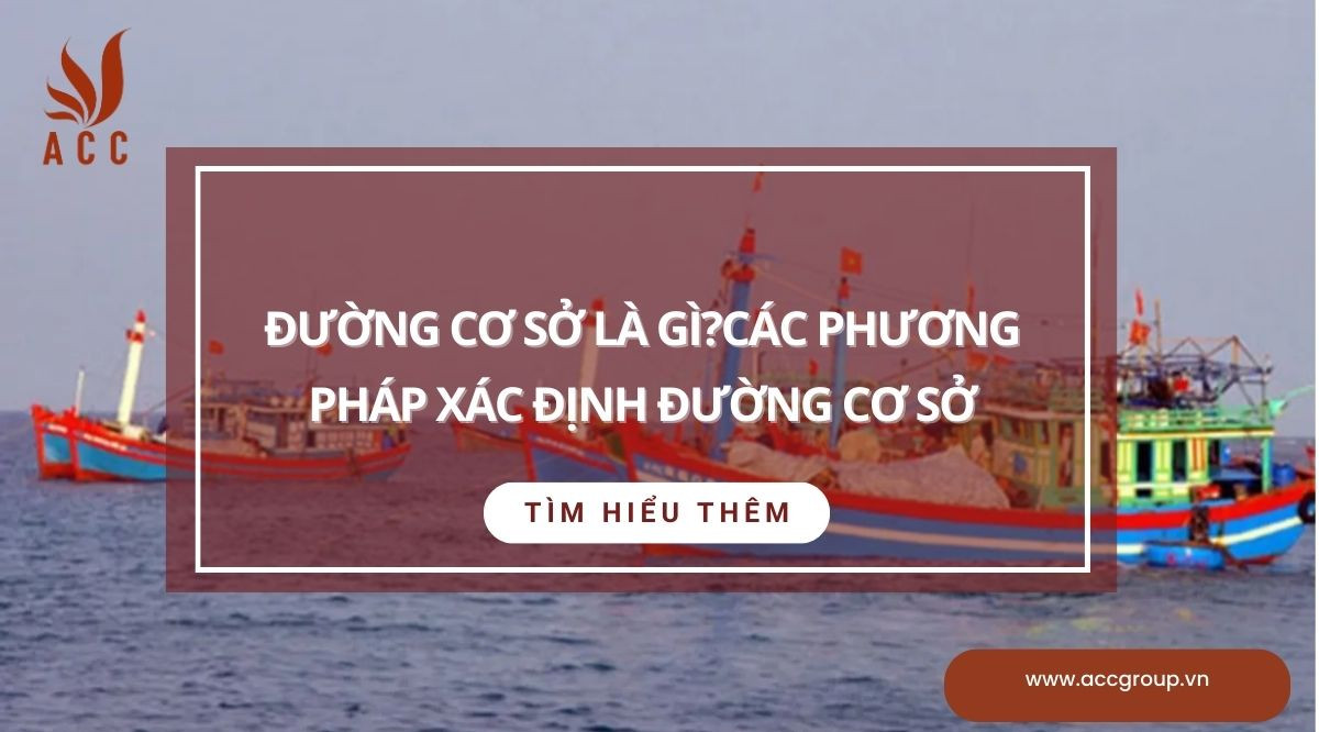 Đường cơ sở là gì?Các phương pháp xác định đường cơ sở