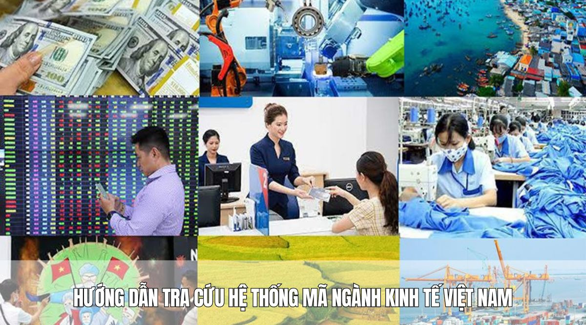 Hướng dẫn tra cứu hệ thống mã ngành kinh tế Việt Nam