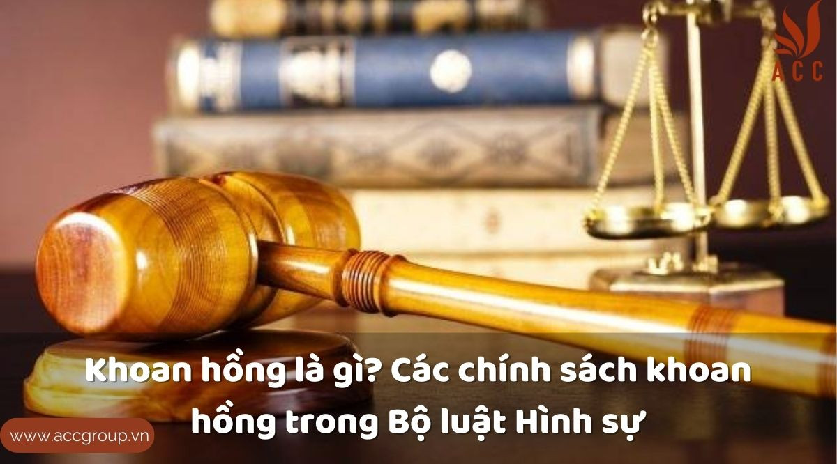 Khoan hồng là gì? Các chính sách khoan hồng trong Bộ luật Hình sự