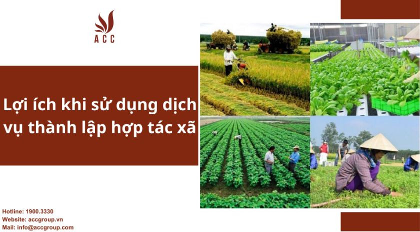 Lợi ích khi sử dụng dịch vụ thành lập hợp tác xã