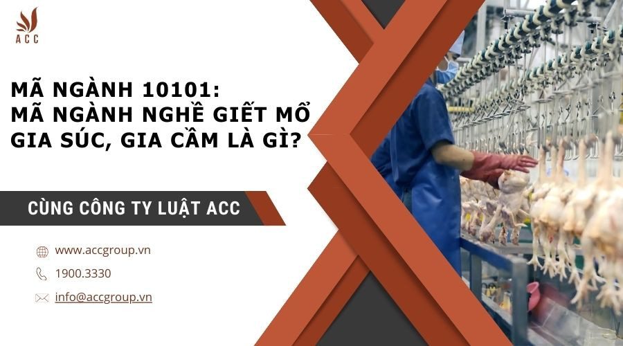 ma-nganh-10101-ma-nganh-nghe-giet-mo-gia-suc-gia-cam