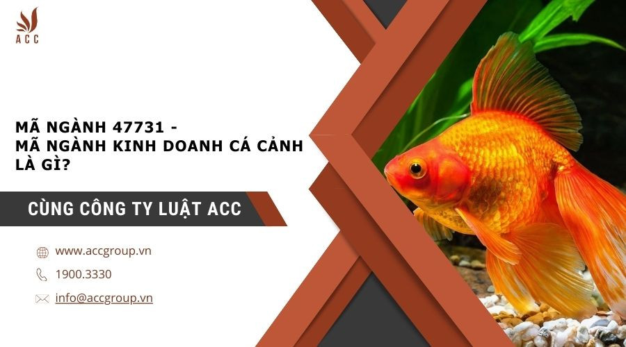 ma-nganh-47731-ma-nganh-kinh-doanh-ca-canh