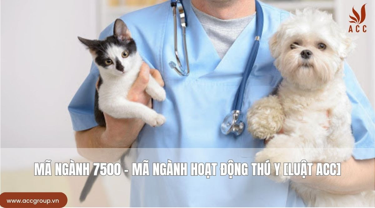 Mã ngành 7500 - Mã ngành hoạt động thú y [Luật ACC]