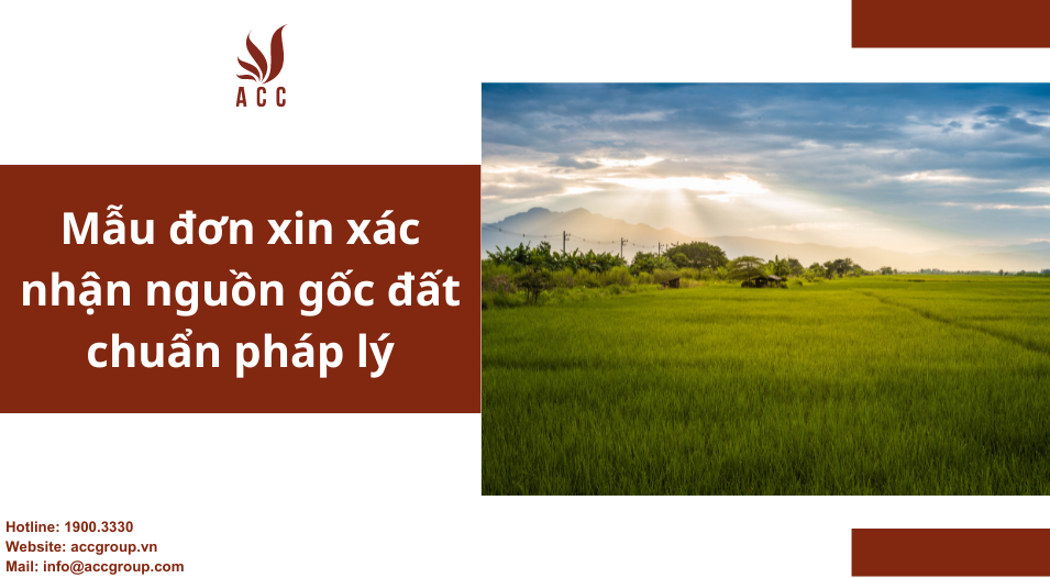 Mẫu đơn xin xác nhận nguồn gốc đất chuẩn pháp lý