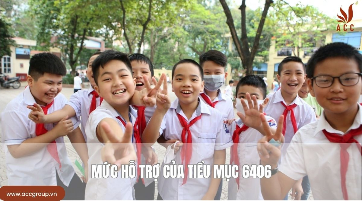 Mức hỗ trợ của tiểu mục 6406