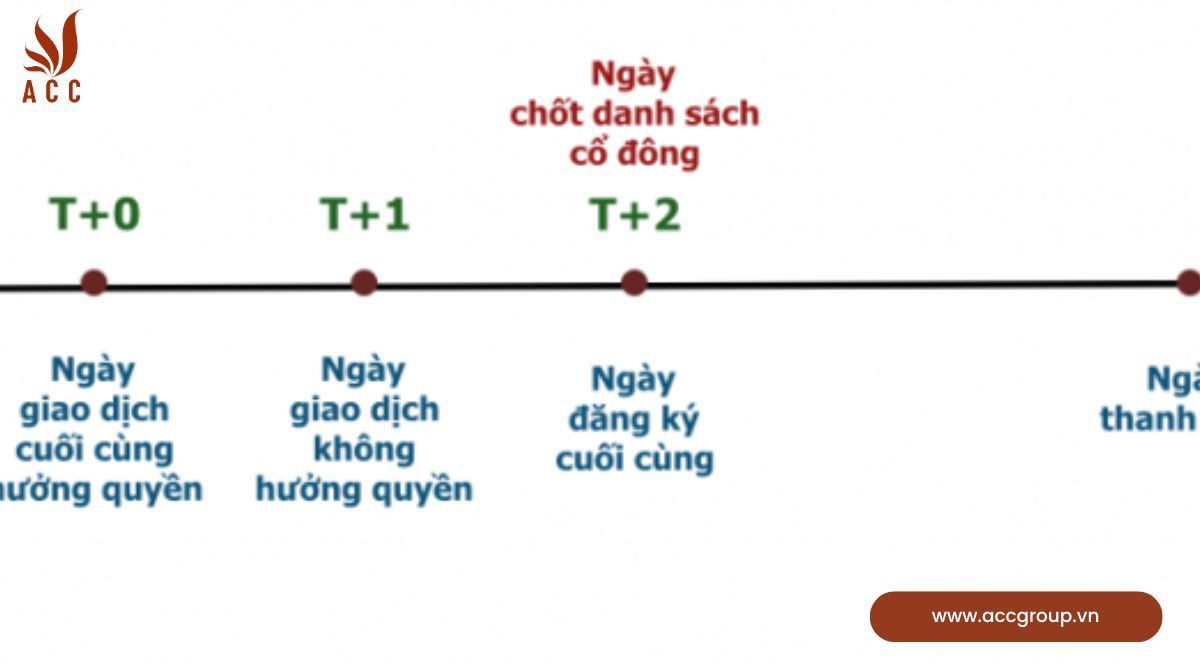 Những cá nhân và tổ chức nào được coi là nhà đầu tư chứng khoán chuyên nghiệp? 