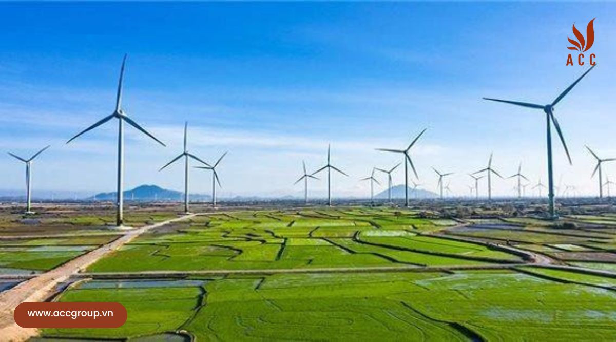 Quy trình bổ sung ngành nghề sản xuất, truyền tải, phân phối điện