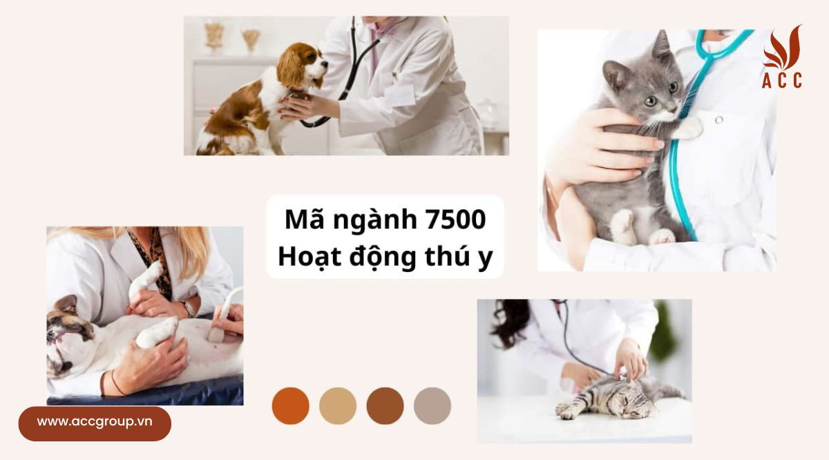Quy trình gửi và tiếp nhận hồ sơ bổ sung liên quan đến việc thêm mã ngành hoạt động thú y