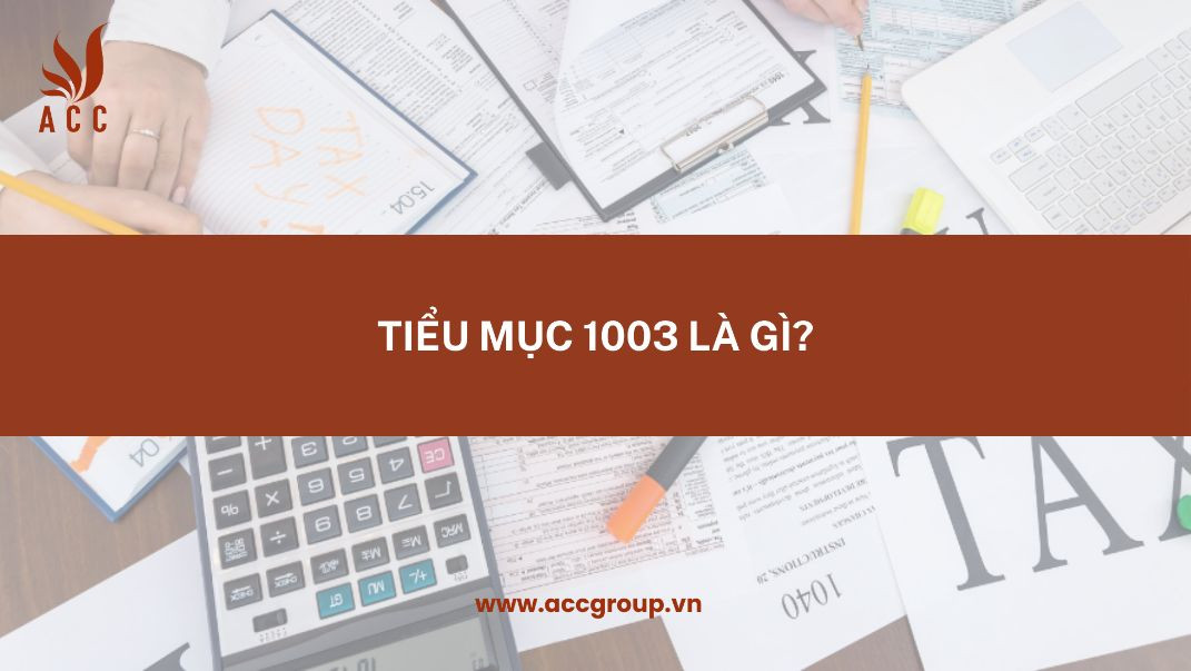 tieu-muc-1003-la-gi