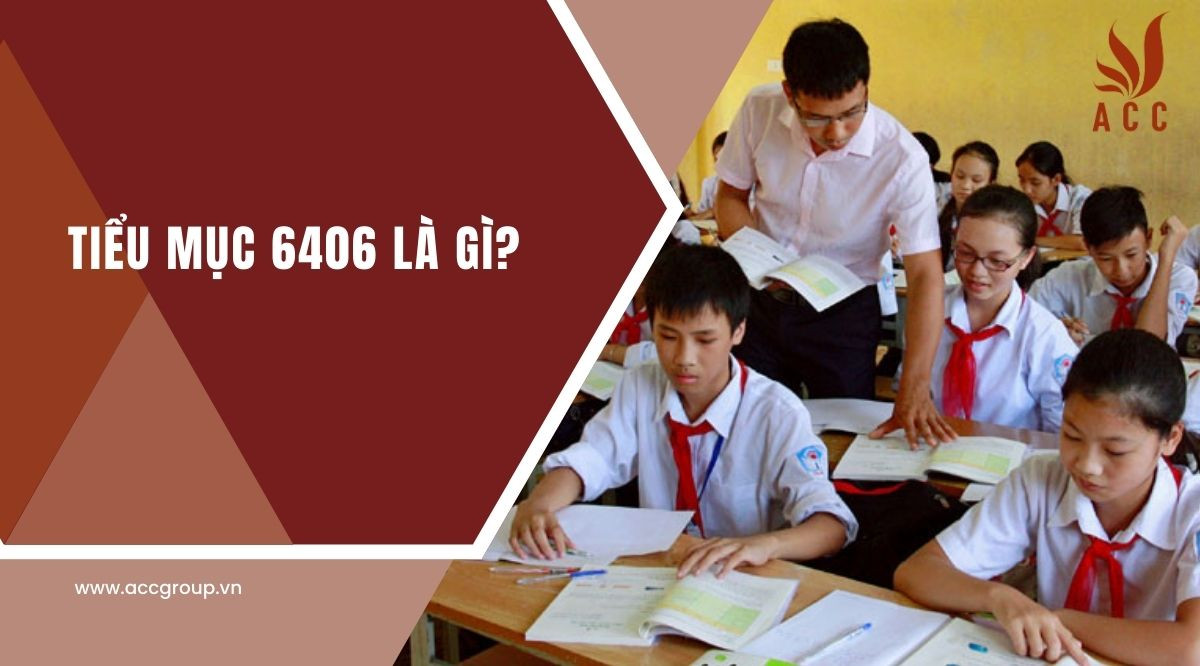 Tiểu mục 6406 là gì?