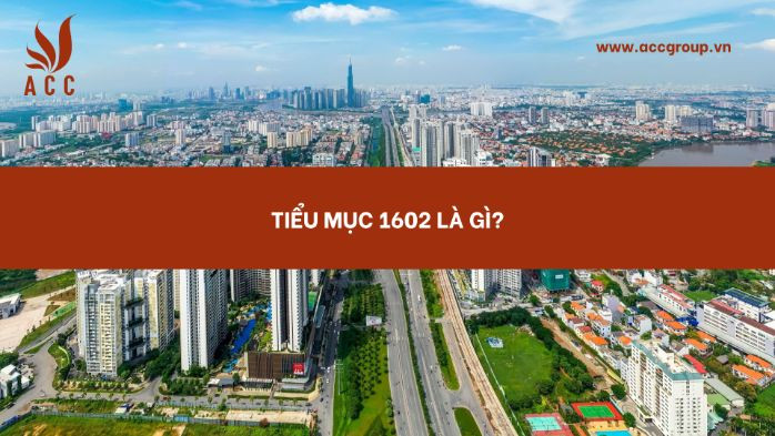 tieu-muc-1602-la-gi