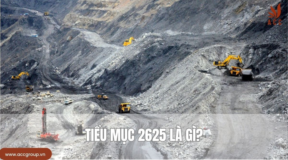Tiểu mục 2625 là gì