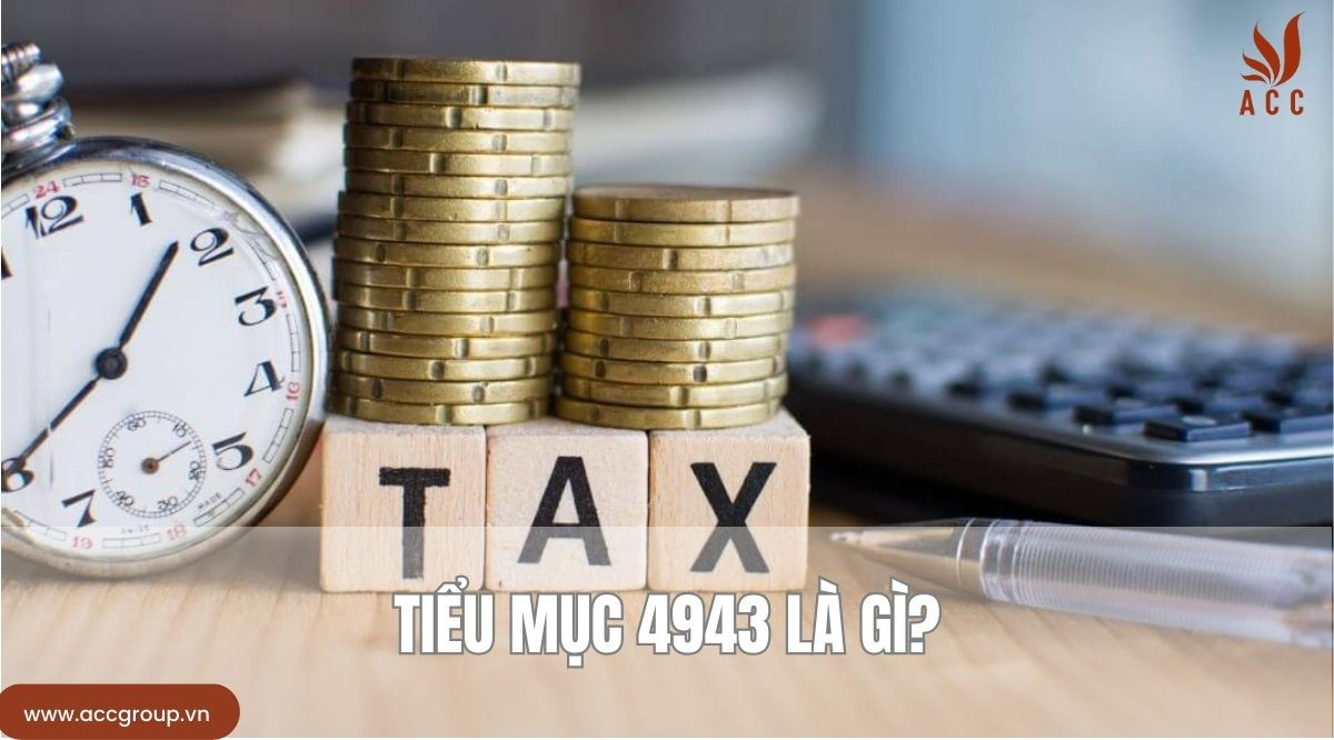 Tiểu mục 4943 là gì?