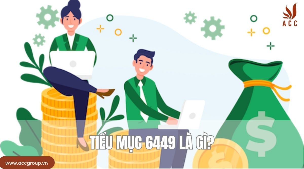 Tiểu mục 6449 là gì