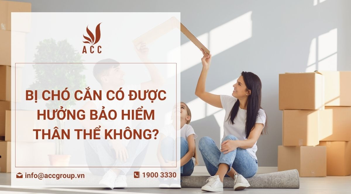 Bị chó cắn có được hưởng bảo hiểm thân thể không