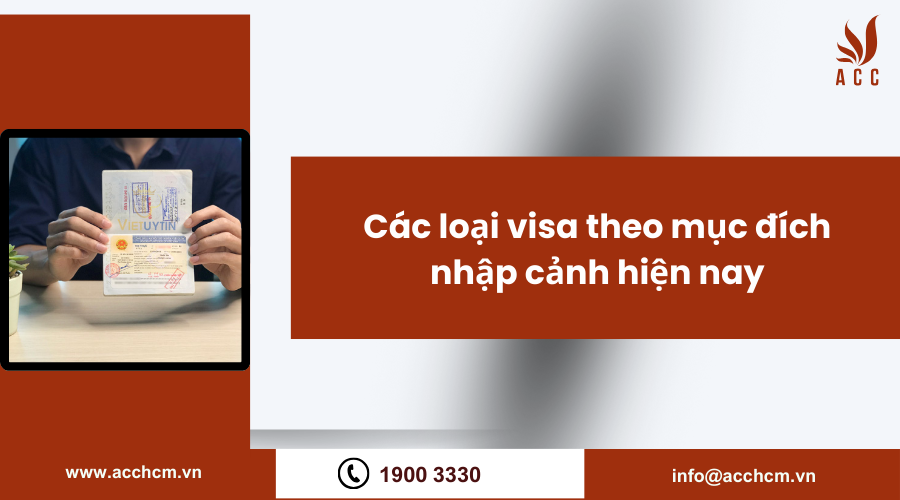 cac-loai-visa-theo-muc-dich-nhap-canh-hien-nay