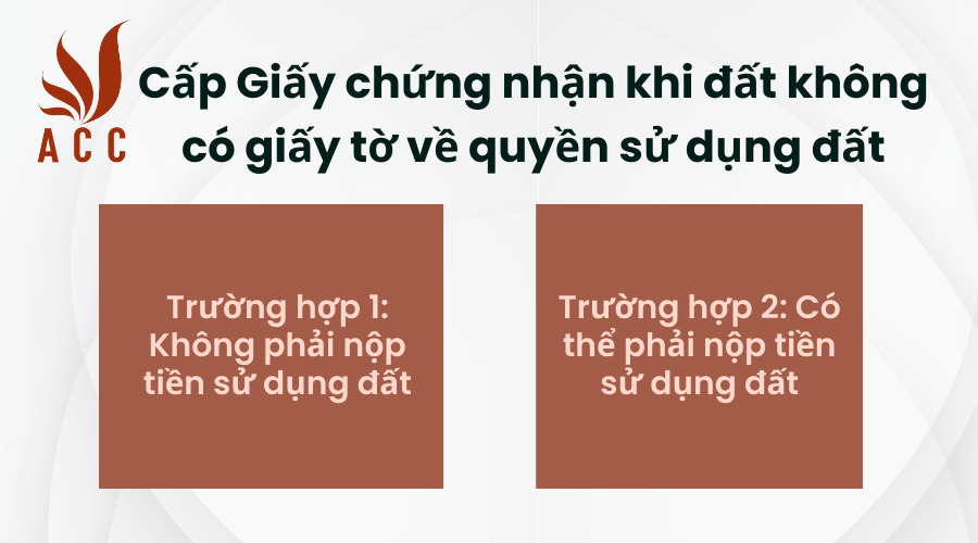 cap-giay-chung-nhan-khi-dat-khong-co-giay-to-ve-quyen-su-dung-dat.png