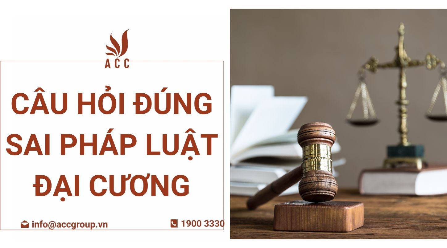 Câu hỏi đúng sai pháp luật đại cương