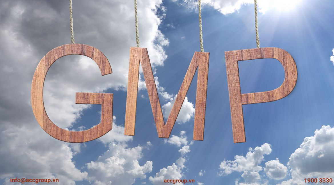 chung-nhan-gmp-la-gi-trinh-tu-danh-gia-gmp-2024