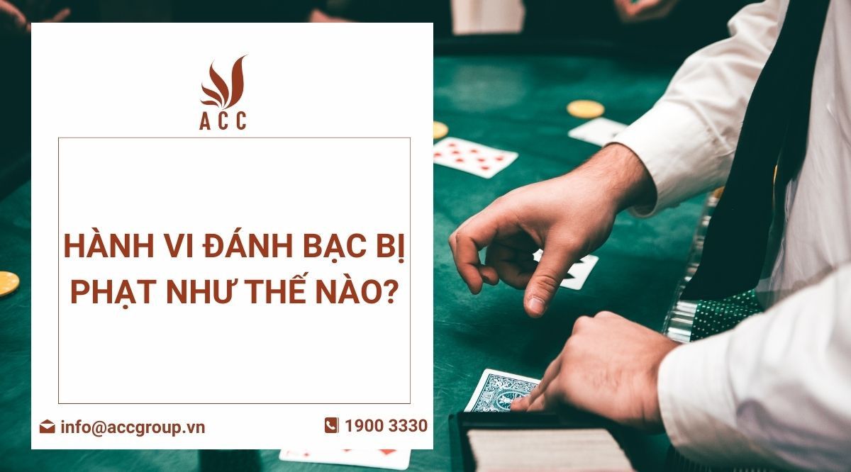 Hành vi đánh bạc bị phạt như thế nào