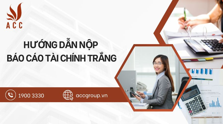 Hướng dẫn nộp báo cáo tài chính trắng theo đúng quy định