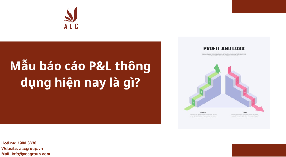 Mẫu báo cáo P&L thông dụng hiện nay