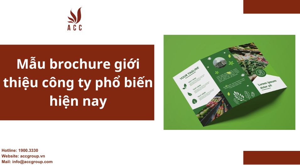 Mẫu brochure giới thiệu công ty phổ biến hiện nay