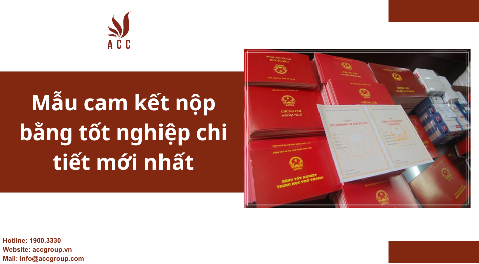 Mẫu cam kết nộp bằng tốt nghiệp chi tiết mới nhất