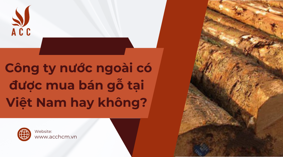 cong-ty-nuoc-ngoai-co-duoc-mua-ban-go-tai-viet-nam-hay-khong