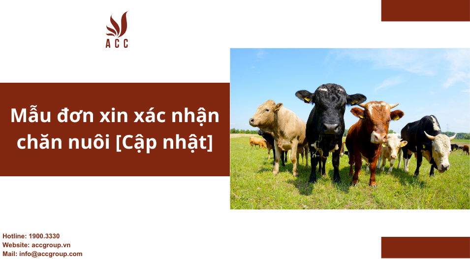 Mẫu đơn xin xác nhận chăn nuôi