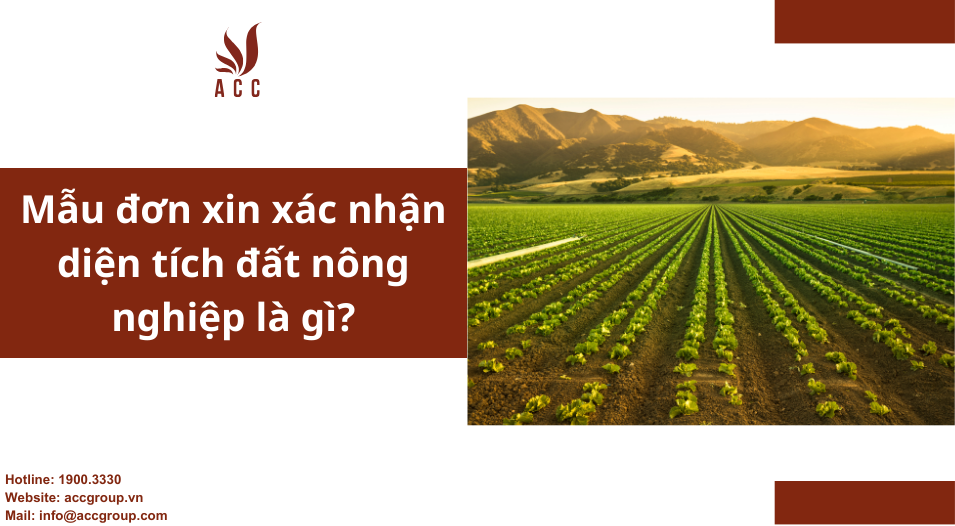 Mẫu đơn xin xác nhận diện tích đất nông nghiệp là gì?