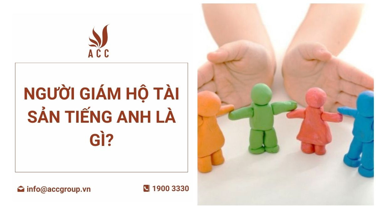 nguoi-giam-ho-tai-san-tieng-anh-la-gi