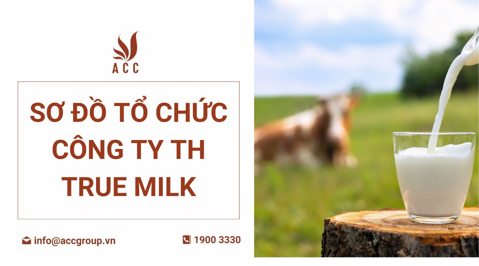 so-do-to-chuc-cong-ty-th-true-milk