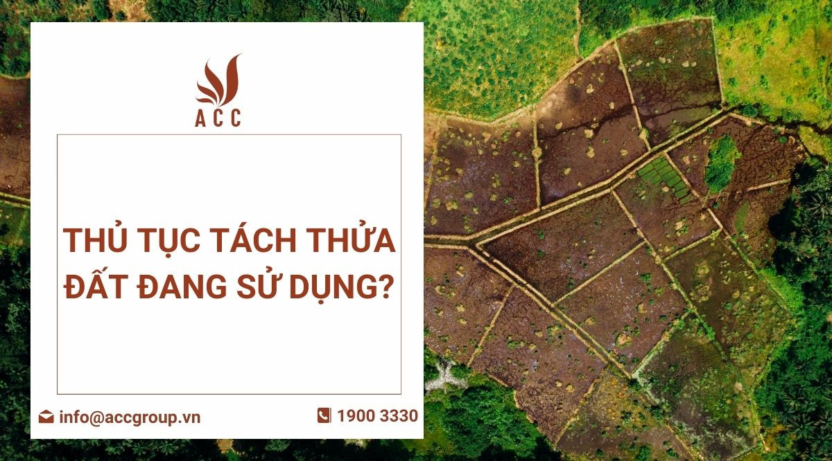 Thủ tục tách thửa đất đang sử dụng