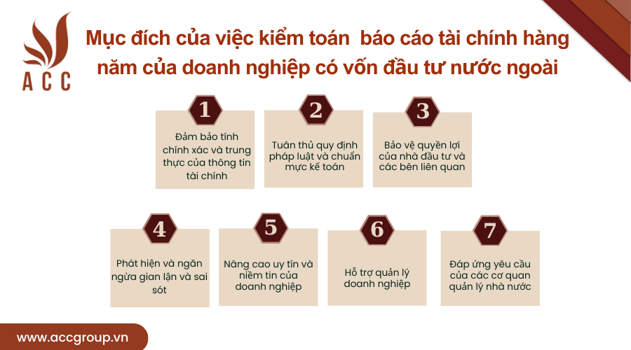 muc-dich-cua-viec-kiem-toan-bao-cao-tai-chinh-hang-nam-cua-doanh-nghiep-co-von-dau-tu-nuoc-ngoai