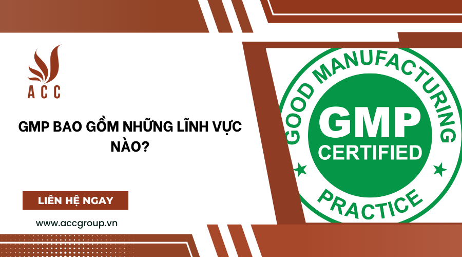 GMP bao gồm những lĩnh vực nào?