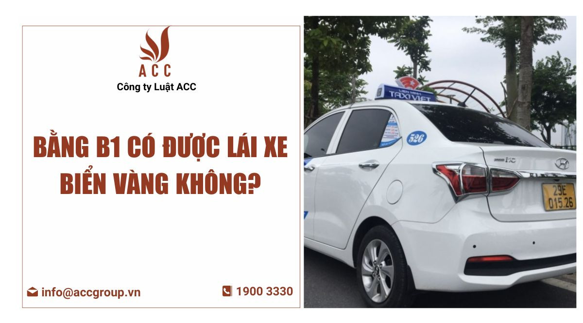 Bằng B1 có được lái xe biển vàng không?