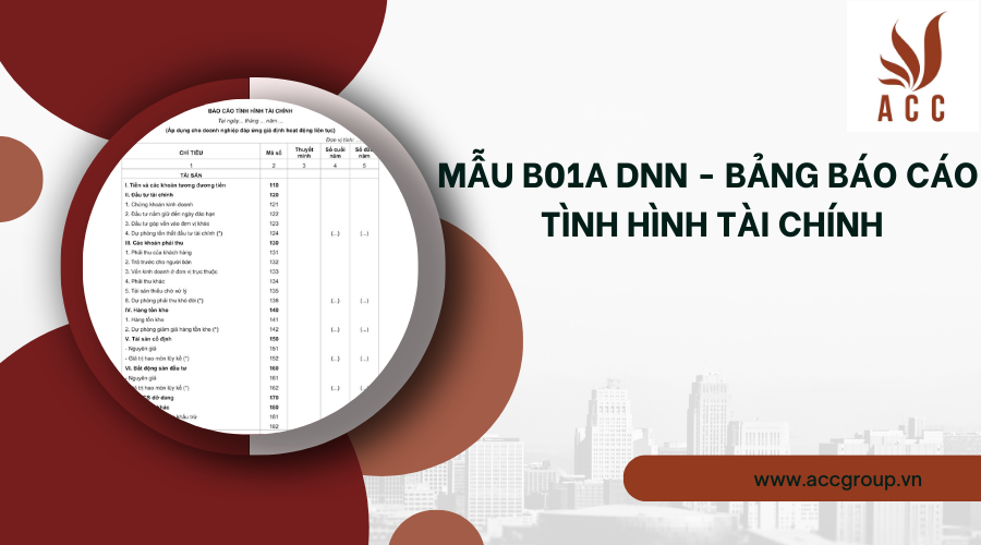 Mẫu B01a DNN - Bảng báo cáo tình hình tài chính