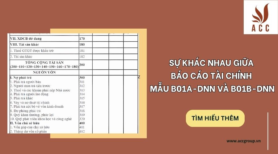Sự khác nhau giữa báo cáo tài chính mẫu B01a-DNN và B01b-DNN