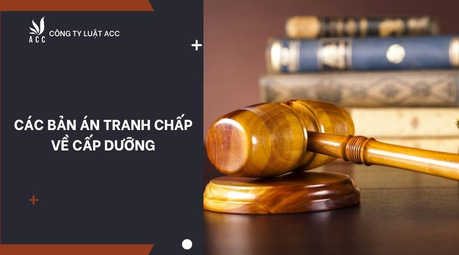 Các bản án tranh chấp về cấp dưỡng