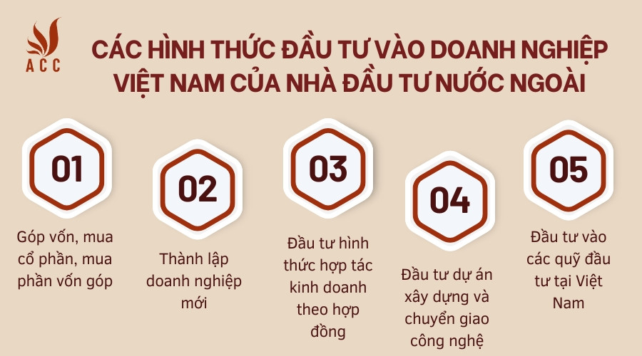 Các hình thức đầu tư vào doanh nghiệp Việt Nam của nhà đầu tư nước ngoài