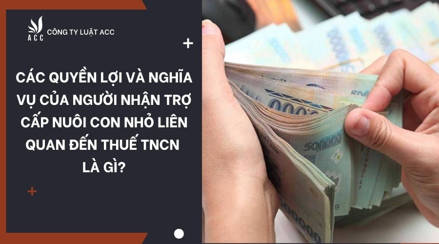 Các quyền lợi và nghĩa vụ của người nhận trợ cấp nuôi con nhỏ liên quan đến thuế TNCN là gì?