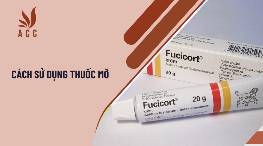  Cách sử dụng thuốc mỡ