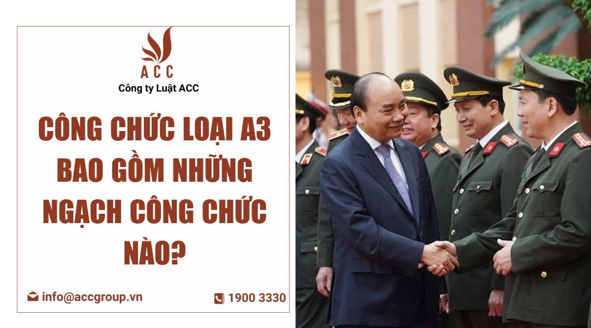 Công chức loại Ả bao gồm những ngạch công chức nào
