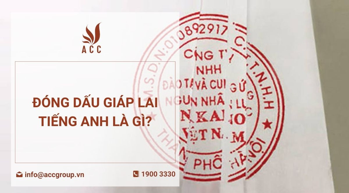 Đóng dấu giáp lai tiếng anh là gì