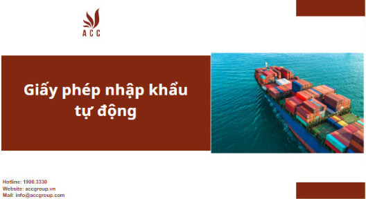Giấy phép nhập khẩu tự động