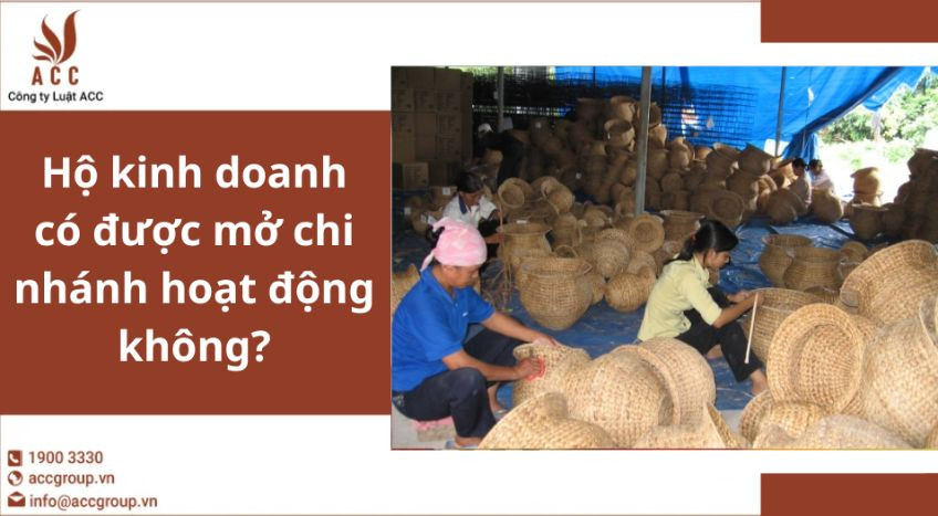 Hộ kinh doanh có được mở chi nhánh hoạt động không?