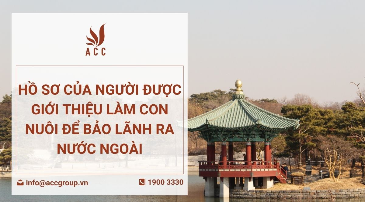 Hồ sơ của người được giới thiệu làm con nuôi để bảo lãnh ra nước ngoài
